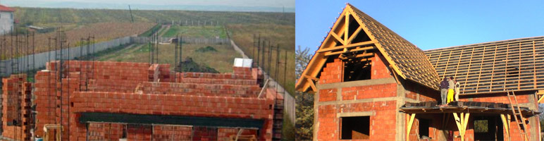 articole constructtii